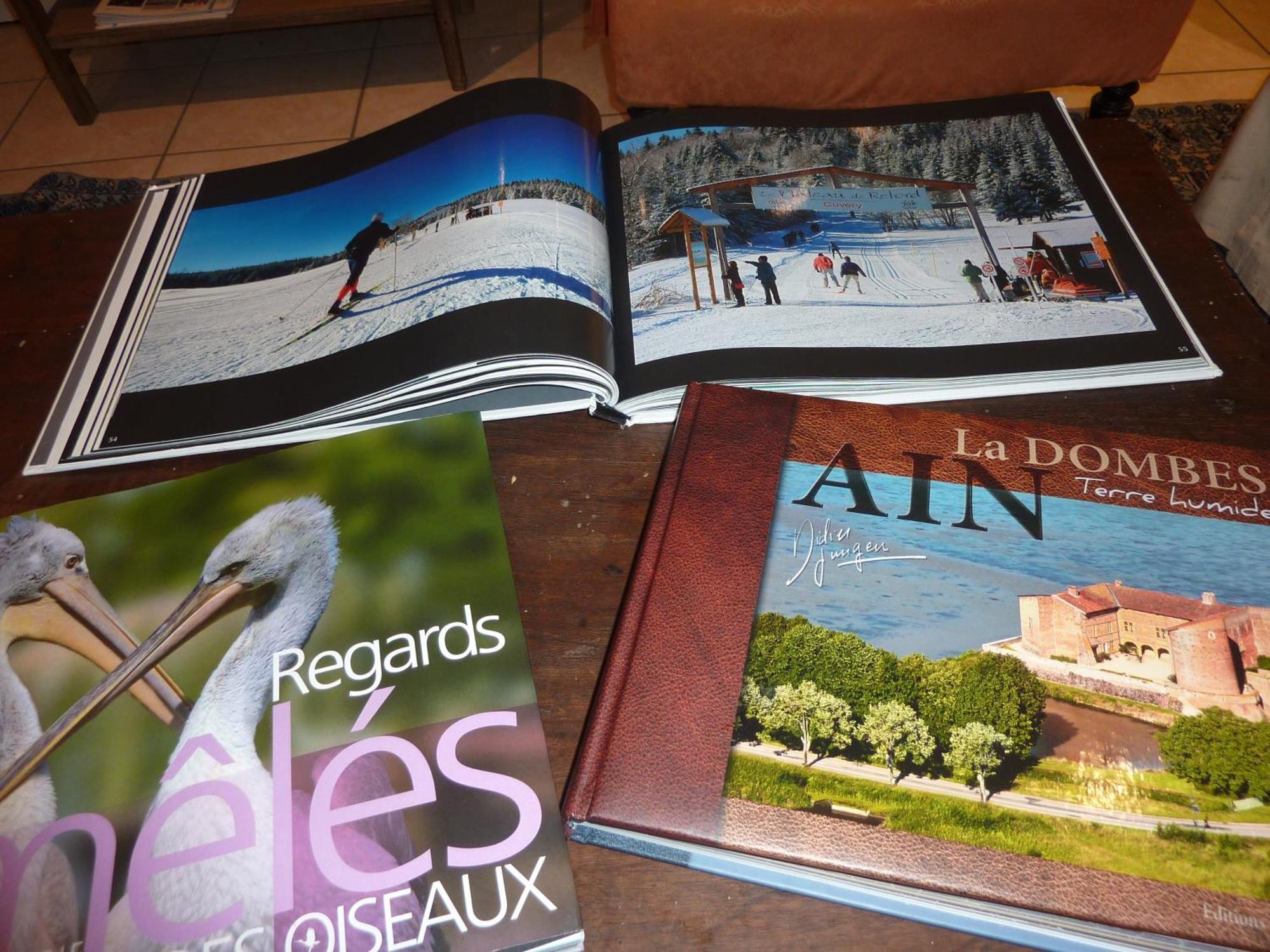 Lac'Hotel France Montreal La Cluse Luaran gambar